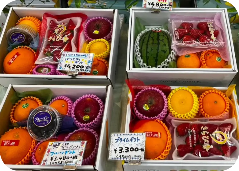旬な果物のギフト