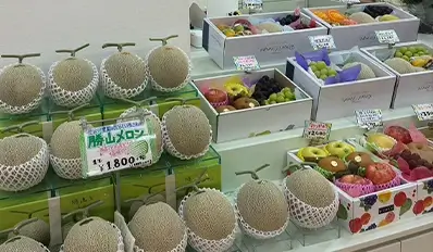 プロ厳選